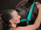 International Diploma in Equine Osteopathy