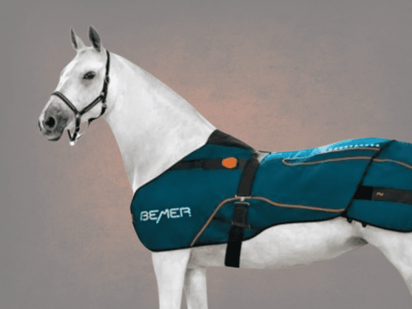 BEMER for Horses (Australia)