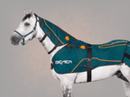 BEMER for Horses (UK)