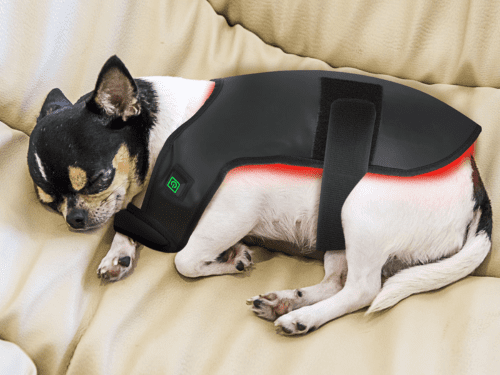 Dog Back Pad - Red Light & Near Infrared (Small)