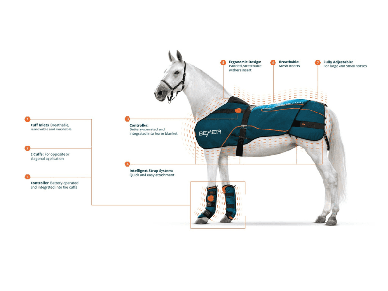 BEMER for Horses (UK)