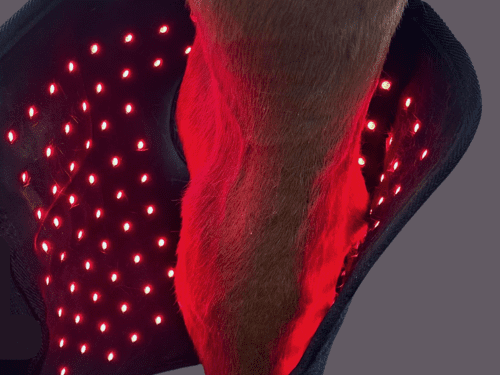 Hock Boots (Pair) - Red Light & Near Infrared (Australia only)