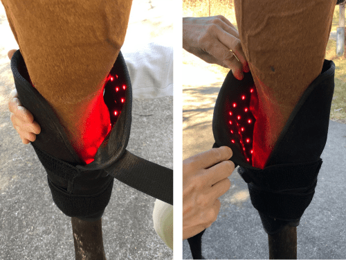 Hock Boots (Pair) - Red Light & Near Infrared