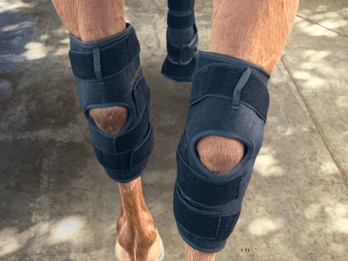 Hock Boots (Pair) - Red Light & Near Infrared (Australia only)