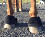 Hoof Boots (Pair) - Red Light & Near Infrared (Australia only)