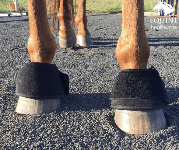 Hoof Boots (Pair) - Red Light & Near Infrared (Australia only)