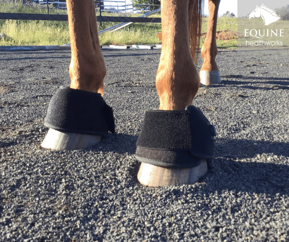 Hoof Boots (Pair) - Red Light & Near Infrared (Australia only)
