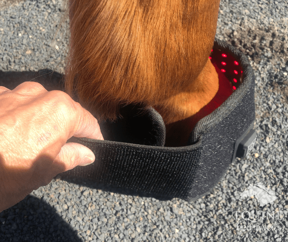Hoof Boots (Pair) - Red Light & Near Infrared (Australia only)