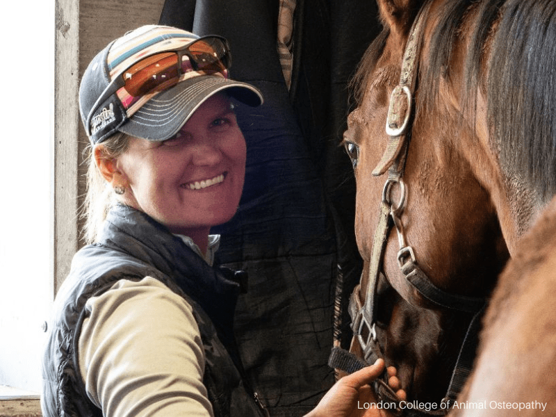 International Diploma in Equine Osteopathy