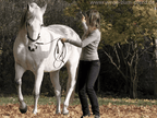 A Course in Lungeing with Babette Teschen