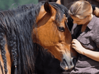 A Course in Lungeing with Babette Teschen