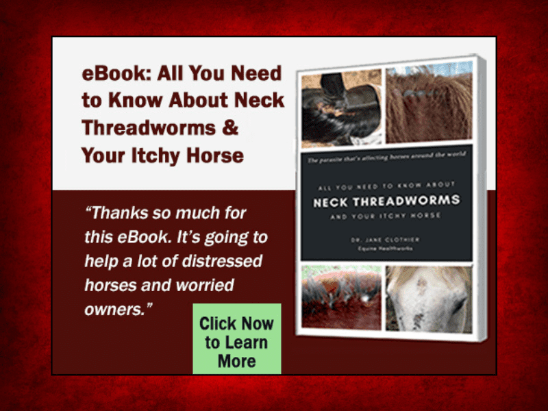 All You Need to Know About Neck Threadworms and Your Itchy Horse (ePub)