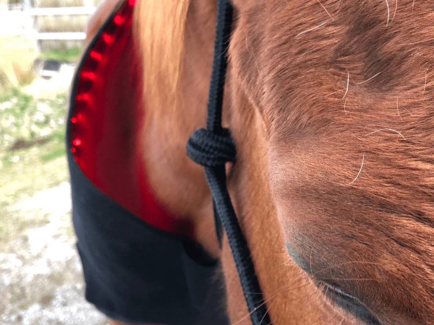 Neck and Shoulder Wrap Pad - Red Light & Near Infrared (Australia only)