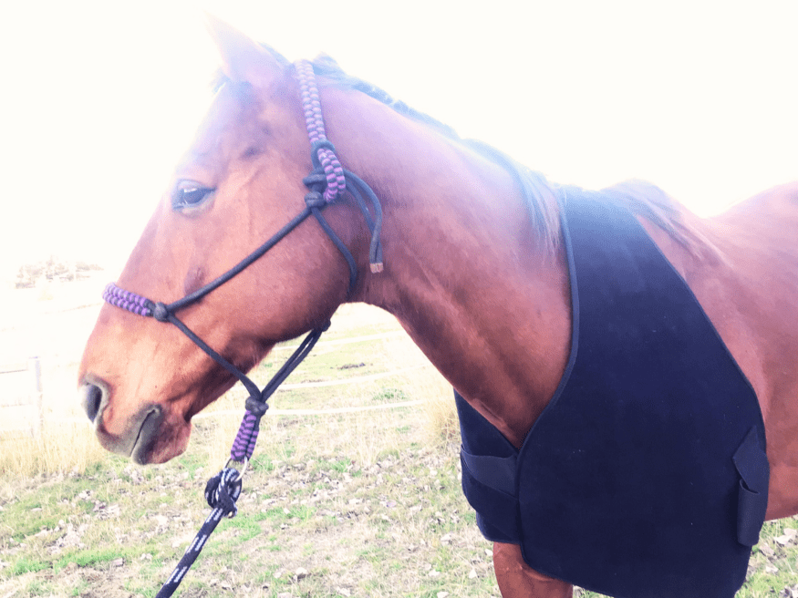 Neck and Shoulder Wrap Pad - Red Light & Near Infrared (Australia only)