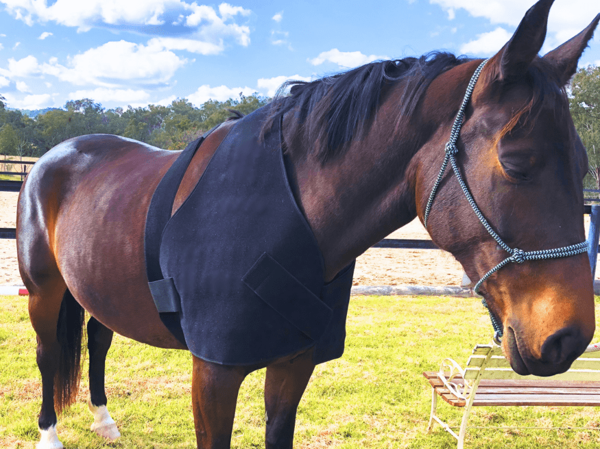 Neck and Shoulder Wrap Pad - Red Light & Near Infrared