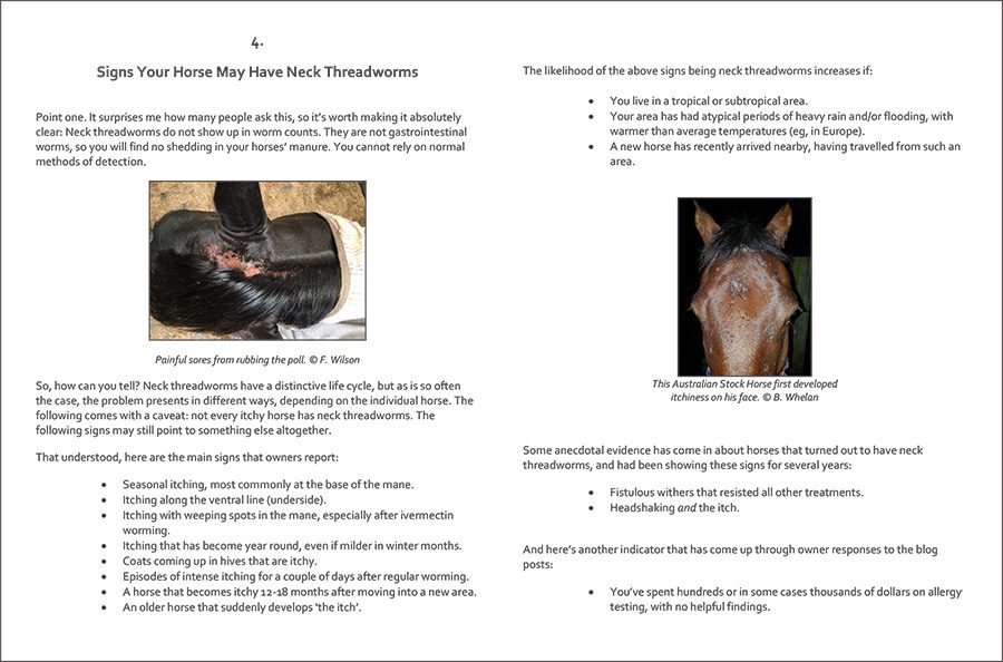 All You Need to Know About Neck Threadworms and Your Itchy Horse (PDF)