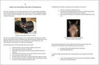 All You Need to Know About Neck Threadworms and Your Itchy Horse (ePub)