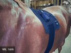 Back Pad, Rectangular - Red Light & Near Infrared (Australia only)