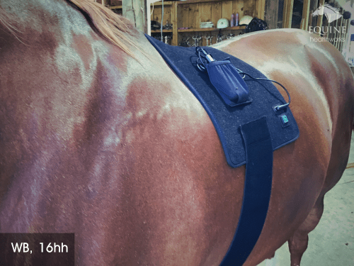 Back Pad, Rectangular - Red Light & Near Infrared (Australia only)