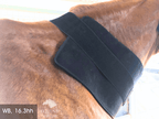 Back Pad, Rectangular - Red Light & Near Infrared (Australia only)