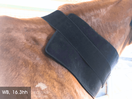 Back Pad, Rectangular - Red Light & Near Infrared (Australia only)
