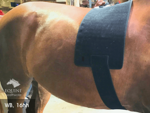 Back Pad, Rectangular - Red Light & Near Infrared (Australia only)