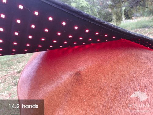 Back Pad, Rectangular - Red Light & Near Infrared (Australia only)