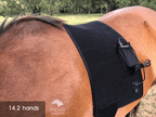Back Pad, Rectangular - Red Light & Near Infrared (Australia only)