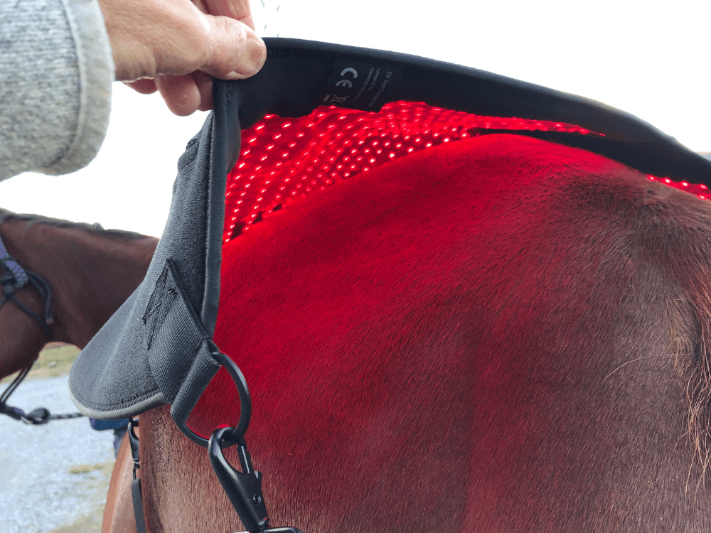 Contoured Back Pad - Red Light & Near Infrared (Australia only)