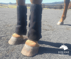 SAVE $50! Red Light Boots Combo for Horses (Australia only)