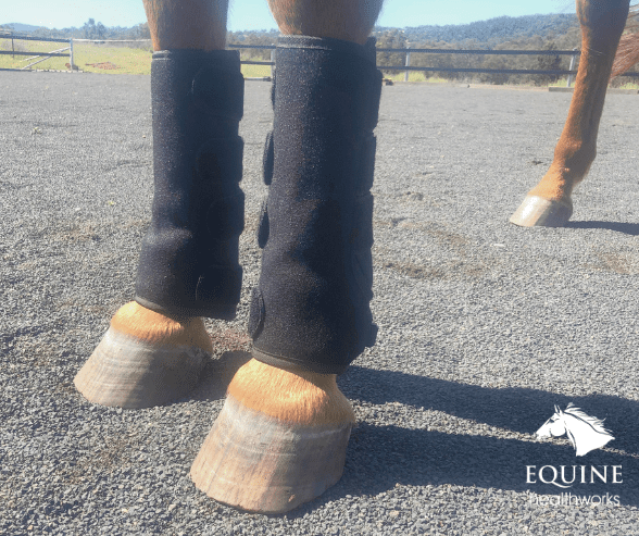 Tendon Boots (Pair) - Slight Seconds (Australia only)