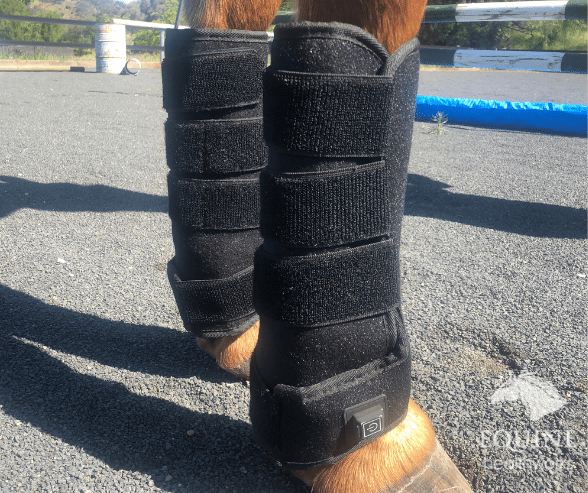 SAVE $50! Red Light Boots Combo for Horses (Australia only)