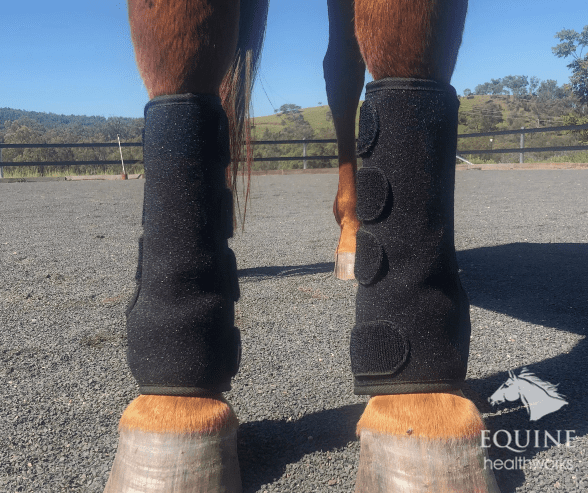 Tendon Boots (Pair) - Slight Seconds (Australia only)