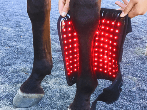 Tendon Boots (Pair) - Red Light & Near Infrared