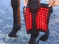 Tendon Boots (Pair) - Slight Seconds