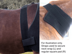 Velcro girth band (1m long) - Australia only