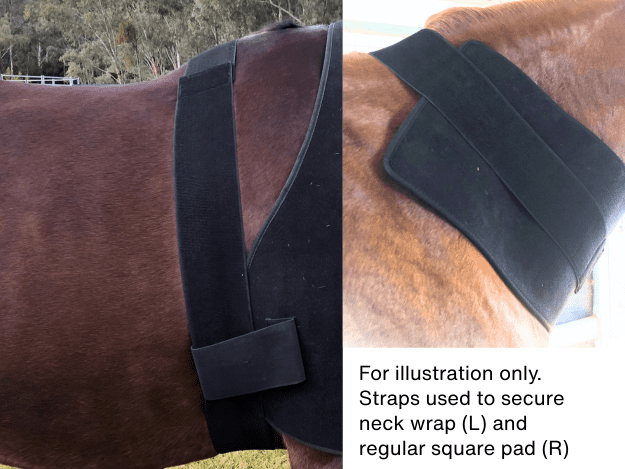 Velcro girth band (1m long) - Australia only